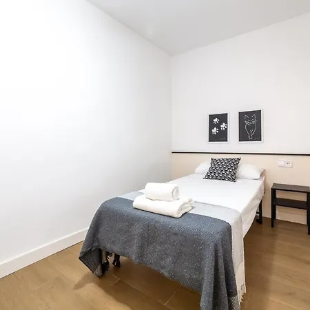 Trendy Homes Altamira
